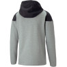Veste à capuche Puma Team Cup 2023 gris dos