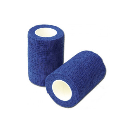 Bande Cohésive élastique