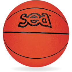 Ballon de basket-ball futur champ'