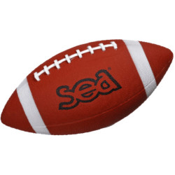 Ballon de football américain