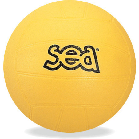 Ballon de volley ball initiation