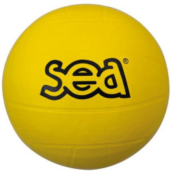 Ballon multisports