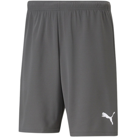 Short PUMA Team Rise gris
