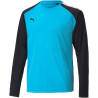 Maillot gardien de buts Puma Team Pacer turquoise noir