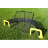 The Football Master Play & Pro