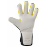 Gants de gardien ERIMA Flex-Ray Pro