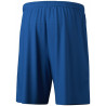 Short ERIMA Team new royal dos