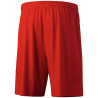 Short ERIMA Team rouge dos