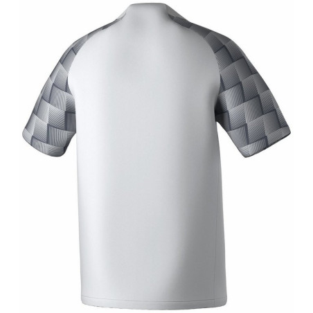 Maillot Erima Evo Star blanc slate grey dos