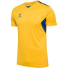 Maillot Hummel  HMLAUTHENTIC Sports Yellow True Blue face
