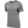 Maillot Hummel  HMLAUTHENTIC Grey Melange face