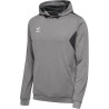 Sweat à capuche Hummel HMLAUTHENTIC Grey Melange face