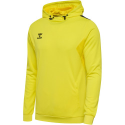 Sweat à capuche Hummel HMLAUTHENTIC Blazing Yellow face