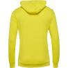 Sweat à capuche Hummel HMLAUTHENTIC Blazing Yellow dos