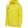 Veste zippée à capuche Hummel HMLAUTHENTIC Blazing Yellow face