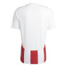 Maillot de Football ADIDAS Striped 23