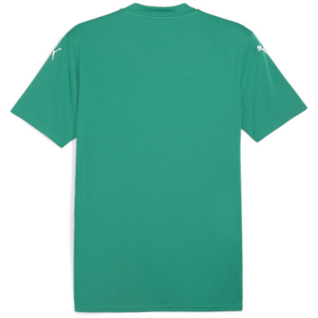 Maillot PUMA Team Glory sport green - puma white - power green dos