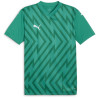 Maillot PUMA Team Glory sport green - puma white - power green