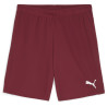 Short PUMA Team Goal team regal red - puma white