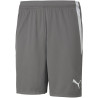 Short PUMA Team Liga smoked pearl puma white