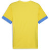 Maillot PUMA TeamGoal Matchday faster yellow electric blue lemonade dos
