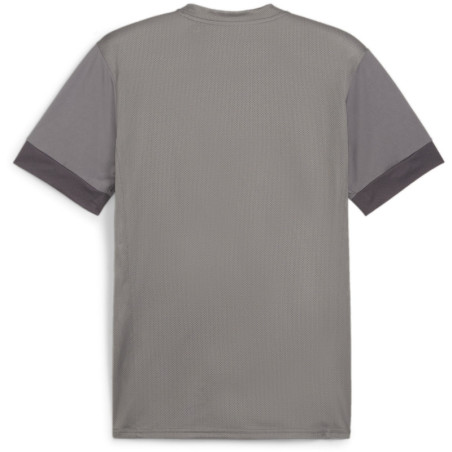 Maillot PUMA TeamGoal Matchday cast iron white shadow gray dos