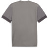 Maillot PUMA TeamGoal Matchday cast iron white shadow gray dos