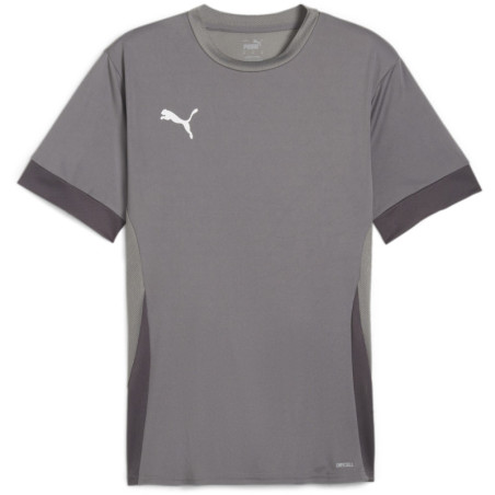 Maillot PUMA TeamGoal Matchday cast iron white shadow gray