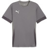 Maillot PUMA TeamGoal Matchday cast iron white shadow gray
