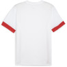 Maillot PUMA TeamGoal Matchday white red red dos