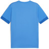 Maillot PUMA TeamGoal Matchday electric blue lemonade white team royal dos