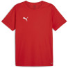 Maillot PUMA TeamRise Matchday red white