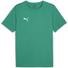 Maillot PUMA TeamRise Matchday sport green white