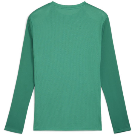 Maillot PUMA TeamGoal LS sport green white power green dos