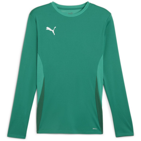 Maillot PUMA TeamGoal LS sport green white power green