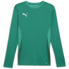 Maillot PUMA TeamGoal LS sport green white power green