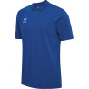 Polo Hummel HMLGO 2.0 true blue face