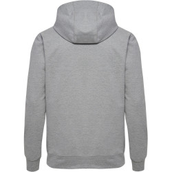 Sweat à capuche Hummel HMLGO Logo 2.0 grey melange face 2