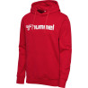 Sweat à capuche Hummel HMLGO Logo 2.0 true red face