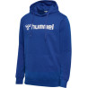 Sweat à capuche  Hummel HMLGO Logo 2.0 true blue face