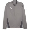 Veste de survêtement Club Puma Team Goal Cast Iron - Puma White - Shadow Gray face