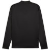 Sweat 1/4 Zip Puma Team Goal Puma Black - Puma White - Flat Dark Grey dos