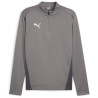 Sweat 1/4 Zip Puma Team Goal Cast Iron - Puma White - Shadow Gray face