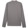 Sweat 1/4 Zip Puma Team Goal Cast Iron - Puma White - Shadow Gray dos