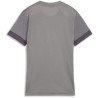 Maillot PUMA Femme TeamGoal Matchday Cast Iron - Puma White - Shadow Gray dos