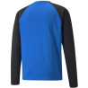 Sweat Puma Team Liga Training  Electric Blue Lemonade Puma Black dos