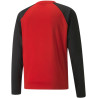 Sweat Puma Team Liga Training  Puma Red Puma Black dos
