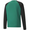 Sweat Puma Team Liga Training Pepper Green Puma Black dos