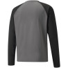 Sweat Puma Team Liga Training Smoked Pearl Puma White dos