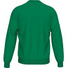 Sweat ERREA MATT GREEN/WHITE DOS